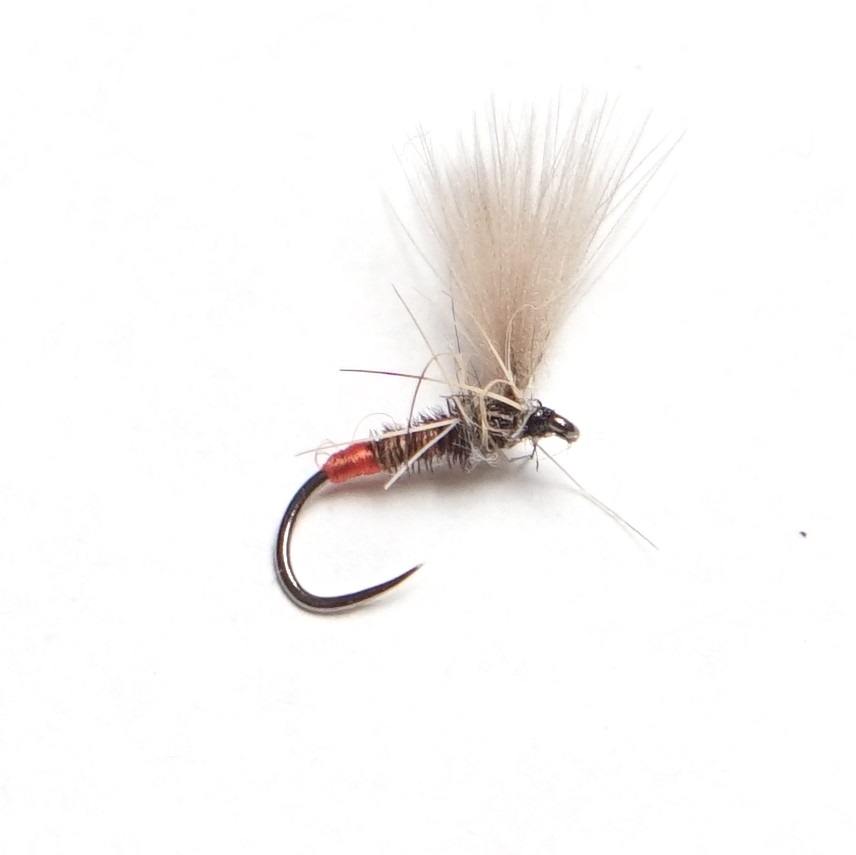 Dry Fly 10