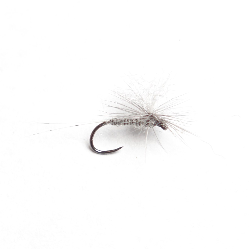 Dry Fly 6