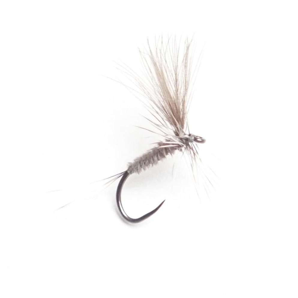 Dry Fly 7