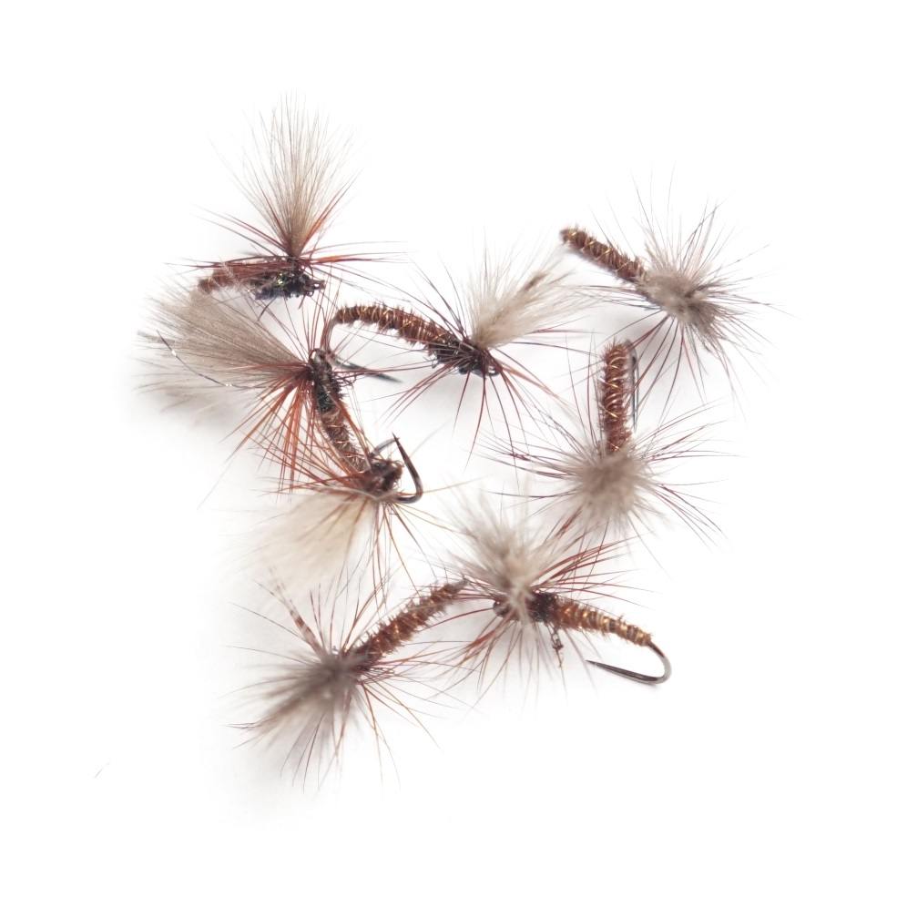 Dry Fly 8